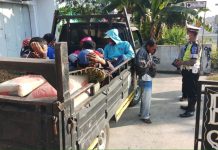 Operasi Patuh Candi 2020, Satlantas Tindak Kendaraan Angkutan Barang Angkut Penumpang