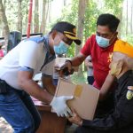 WhatsApp-Image-2020-11-07-at-18.36.29-2