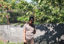 Sat Samapta Polres Karanganyar Latih Kemampuan K9 Kemampuan SAR