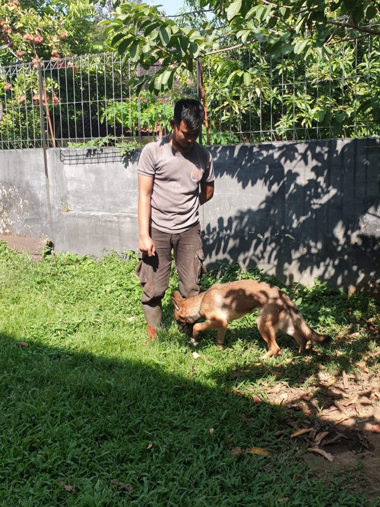 WhatsApp Image 2021-09-30 at 08.39.06