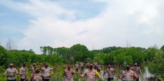 Hashtag Program Satu Juta Mangrove Sudah Trending Nasional di Hari Minggu