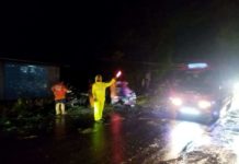 Polsek Gondangrejo Evakuasi Pohon Tumbang Di Jalur Jalan Solo Purwodadi