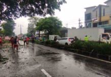 Bersama BPBD, Polsek Jaten Evakuasi Pohon Tumbang