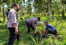 Polsek Jenawi Bersama Element Masyarakat, Gelar Gerakan Ijo Royo-royo