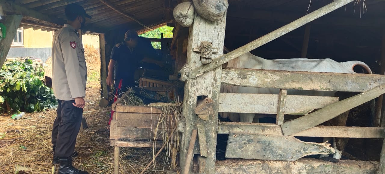 WhatsApp Image 2022-06-28 at 09.36.58