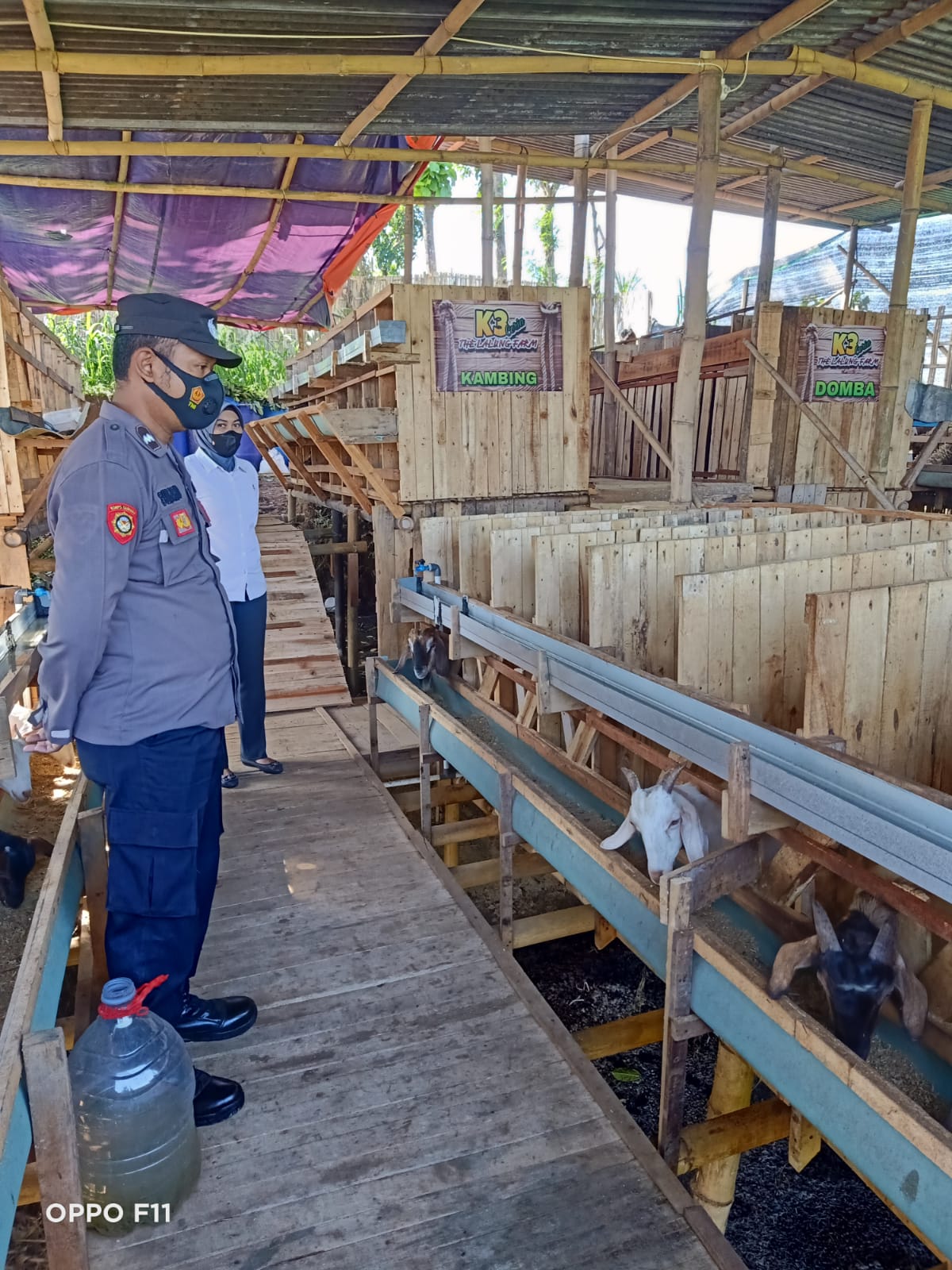 WhatsApp Image 2022-07-07 at 10.51.21