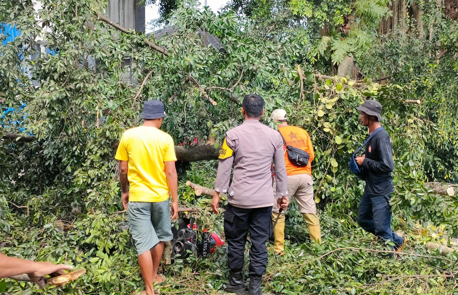 WhatsApp Image 2022-07-14 at 15.40.10 (1)