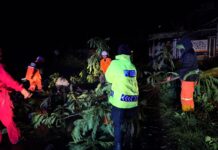 Blue Light Patrol Polsek Karanganyar, Bantu Evakuasi Pohon Tumbang