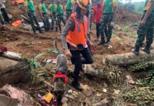 Satu Anjing Pelacak Polisi Temukan Titik Diduga Korban Tertimbun Longsor Cianjur