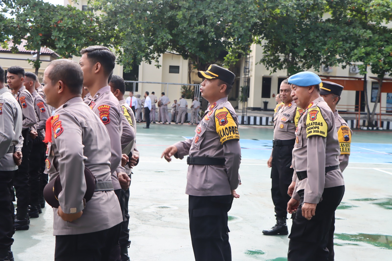 WhatsApp Image 2024-02-05 at 13.07.33 (1)