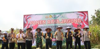 Panen Raya Jagung, Kapolres Karanganyar : Semoga bermanfaat bagi masyarakat