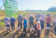 Polres Karanganyar Laksanakan Tanam Raya Jagung Serentak Kuartal III di Lahan Perhutanan Sosial untuk Dukung Swasembada Pangan 2025