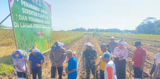 Polres Karanganyar Laksanakan Tanam Raya Jagung Serentak Kuartal III di Lahan Perhutanan Sosial untuk Dukung Swasembada Pangan 2025