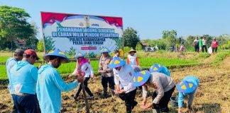 Polres Karanganyar Dukung Ketahanan Pangan Nasional melalui Penanaman Jagung di Lahan Pesantren Darul Ulum Kaliboto