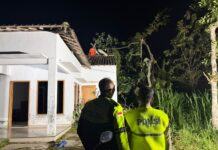 Respon Cepat Layanan 110, Polres Karanganyar Evakuasi Pohon Tumbang yang Menimpa Rumah Warga di Gayamdompo