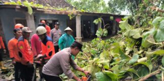 Akses Jalan Sempat Tertutup, Polisi dan Warga Evakuasi Pohon Tumbang di Kebakkramat