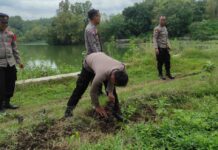 Polsek Kebakkramat Tanam Puluhan Pohon di Waduk Plalar, Wujud Kepedulian terhadap Lingkungan