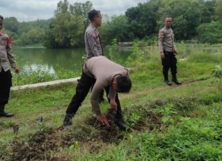Polsek Kebakkramat Tanam Puluhan Pohon di Waduk Plalar, Wujud Kepedulian terhadap Lingkungan