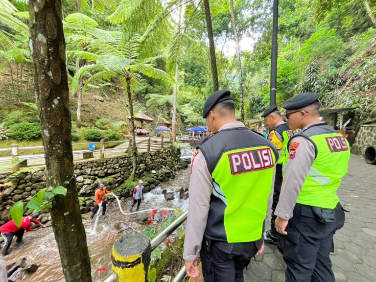 WhatsApp Image 2026-01-02 at 15.39.20