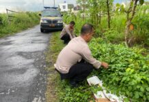 Polsek Colomadu Tanam Puluhan Bibit Pohon di Dusun Bolon, Wujud Kepedulian terhadap Lingkungan