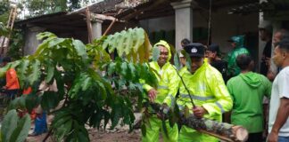 Kesiapsiagaan Polri, Personel Polres Karanganyar Sigap Tangani Pohon Tumbang Akibat Cuaca Ekstrem