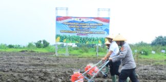 Kapolda Jateng Bersama Forkopimda Karanganyar Tanam Jagung Serentak Kuartal 1 2026 di Kebakkramat